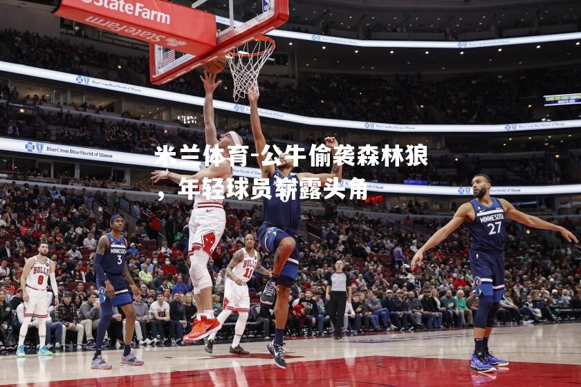 公牛偷袭森林狼，年轻球员崭露头角