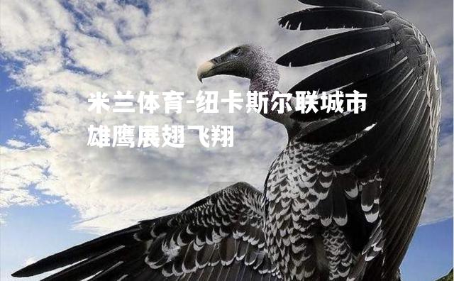 纽卡斯尔联城市雄鹰展翅飞翔