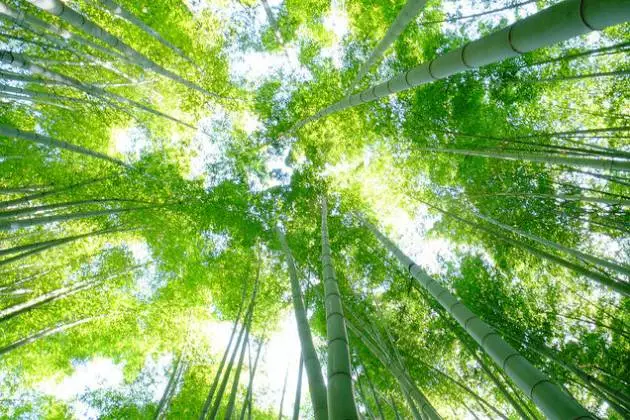 开季压力大晋级虚怀胜